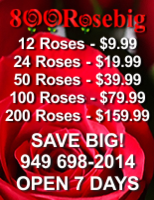 800RoseBig Discount Roses Wholesale